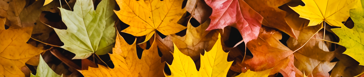 Pixabay